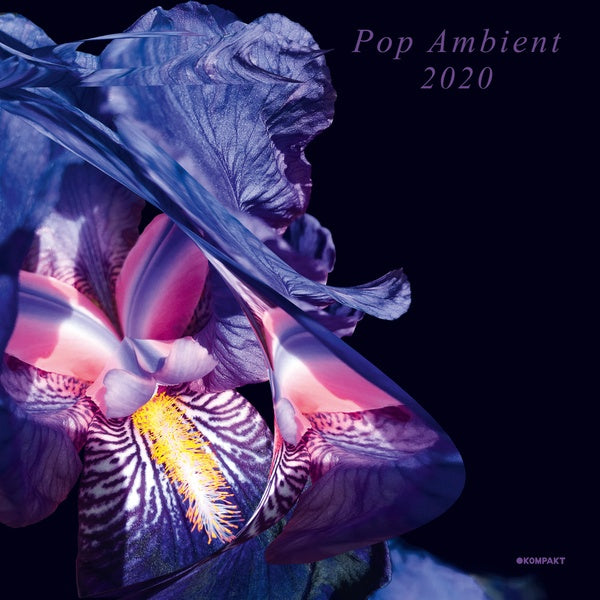 Pop Ambient 2020 Vinyl Record