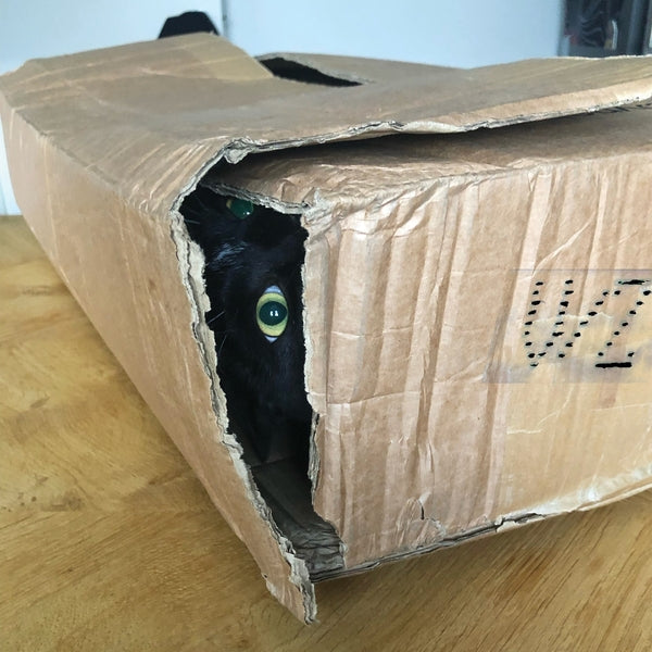 V/Z - Suono Assente Vinyl Record