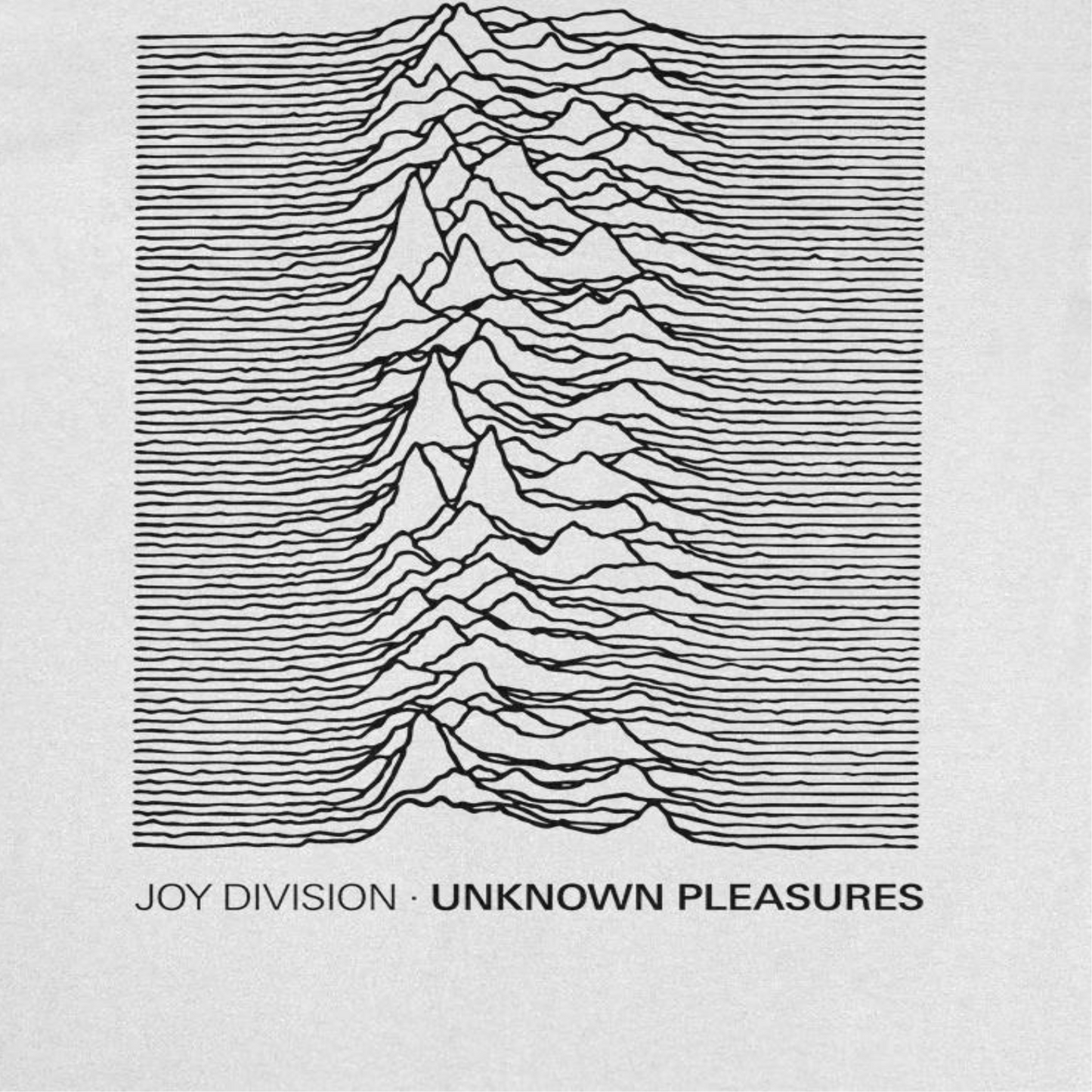 Joy Division Unknown Pleasures Text T Shirt White Officially Licensed
