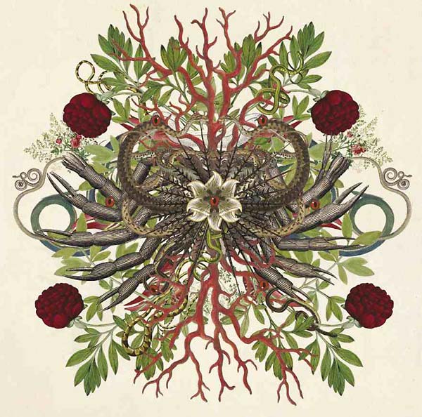 WE WILL FAIL - Verstorung 2.0 Vinyl Record