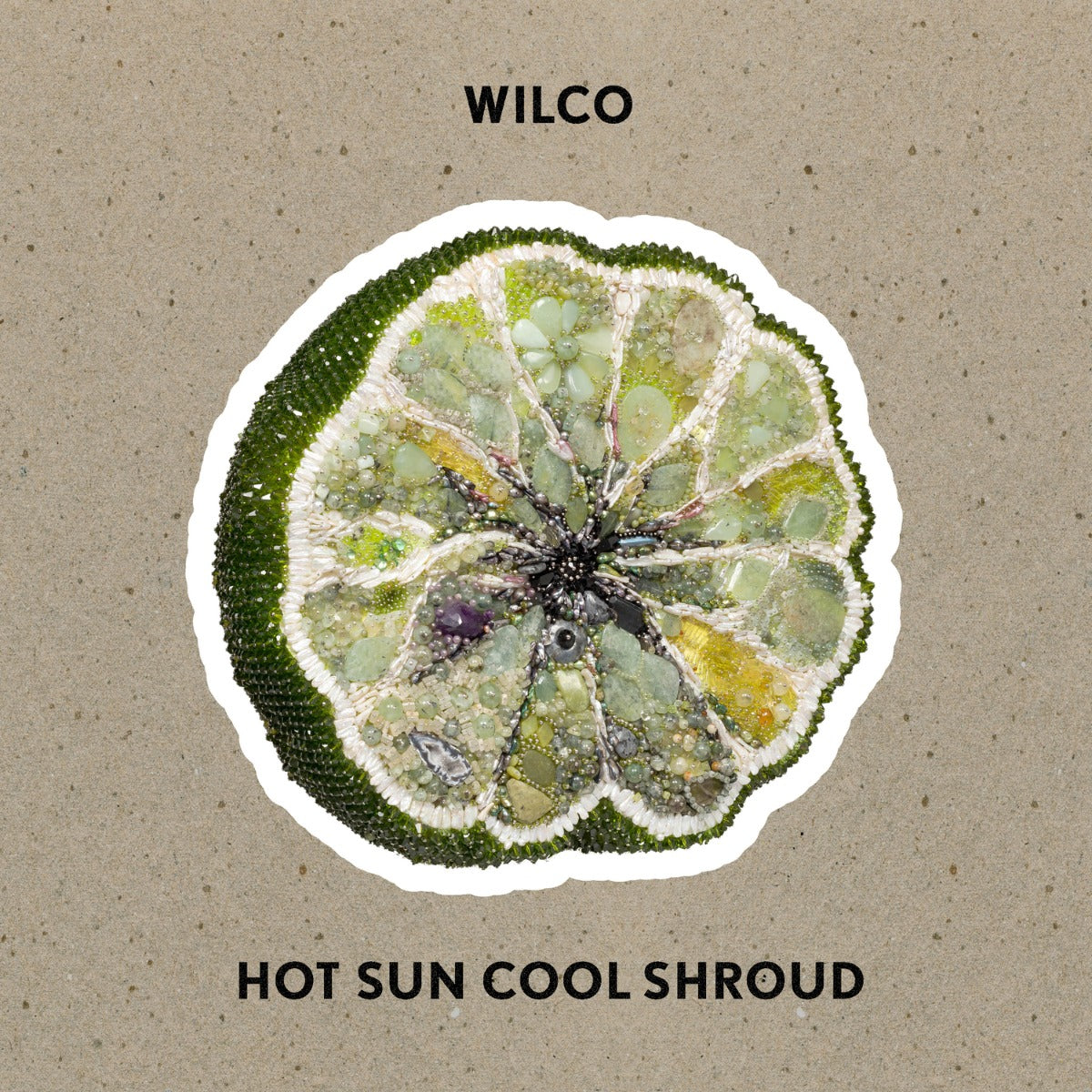 Wilco - Hot Sun Cool Shroud Vinyl Record