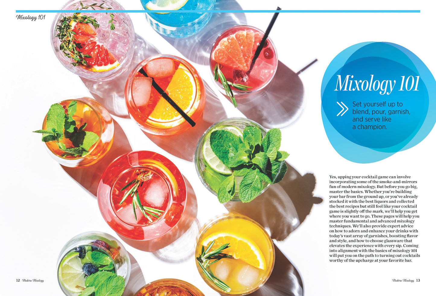 Modern Mixology - A Professional Guide To Today's Bar: Craft Cocktails, Smoking, Foaming, Tools & Gadgets, Recipes, Vermouth, Bitters, Infusion, Liquor, Mixer, Muddling, Garnish & Non-Alcoholic Drinks