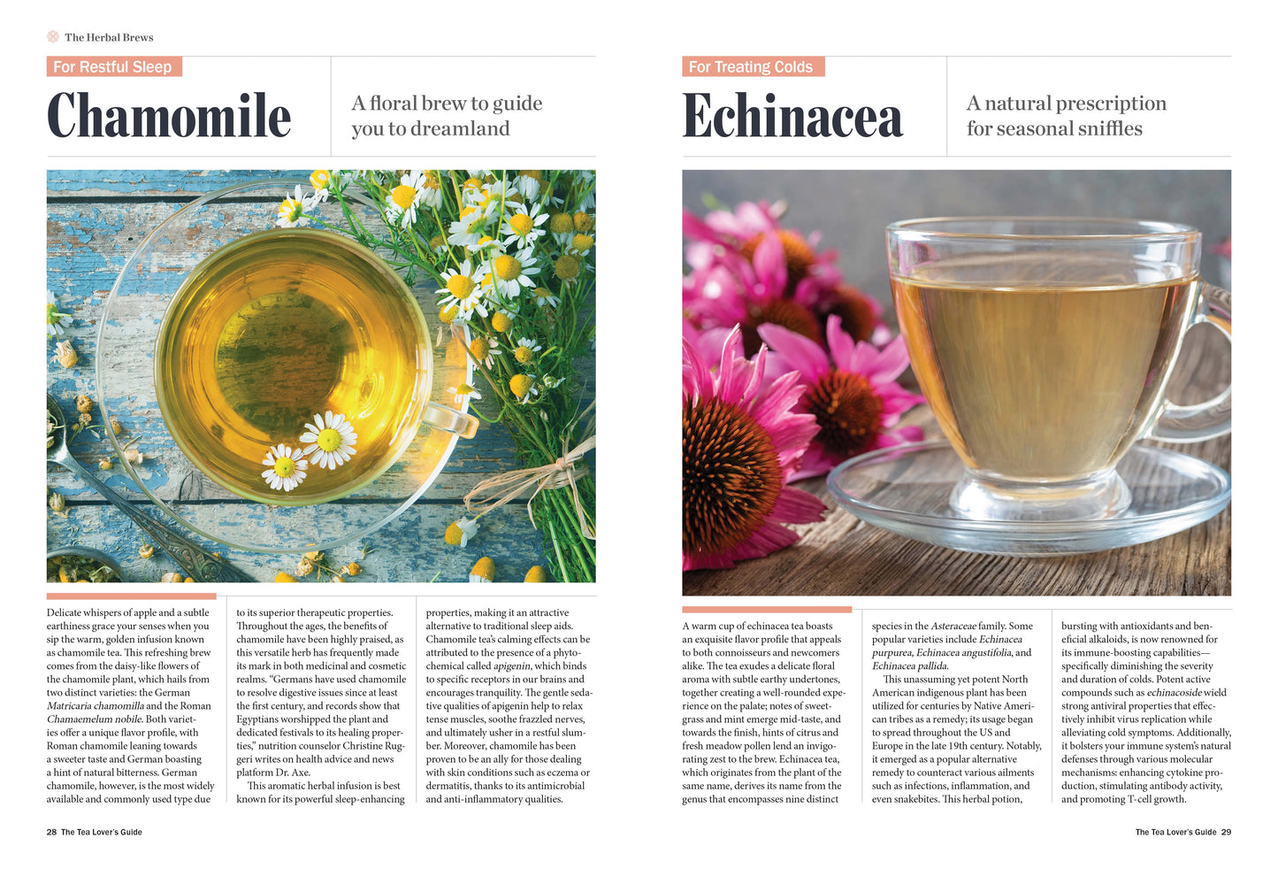 Tea Lover's Handbook - Steeping & Serving Tips For Thousands Of Varieties, Flavor & Chemical Profiles, Earl Grey, Chamomile, Caffeinated Brews, Herbal Tea For Sleep, Cold, Inflammation, Anxiety & More