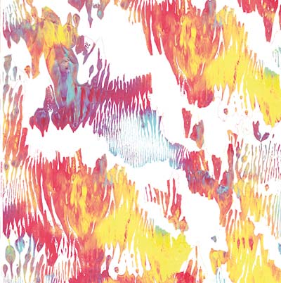 XIPHIIDAE - Pass Hidingly Seek Vinyl Record