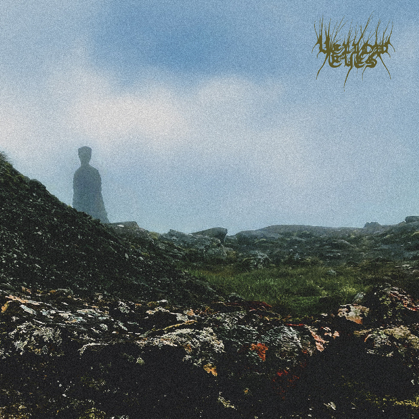 Confusion Gate Vinyl Record
