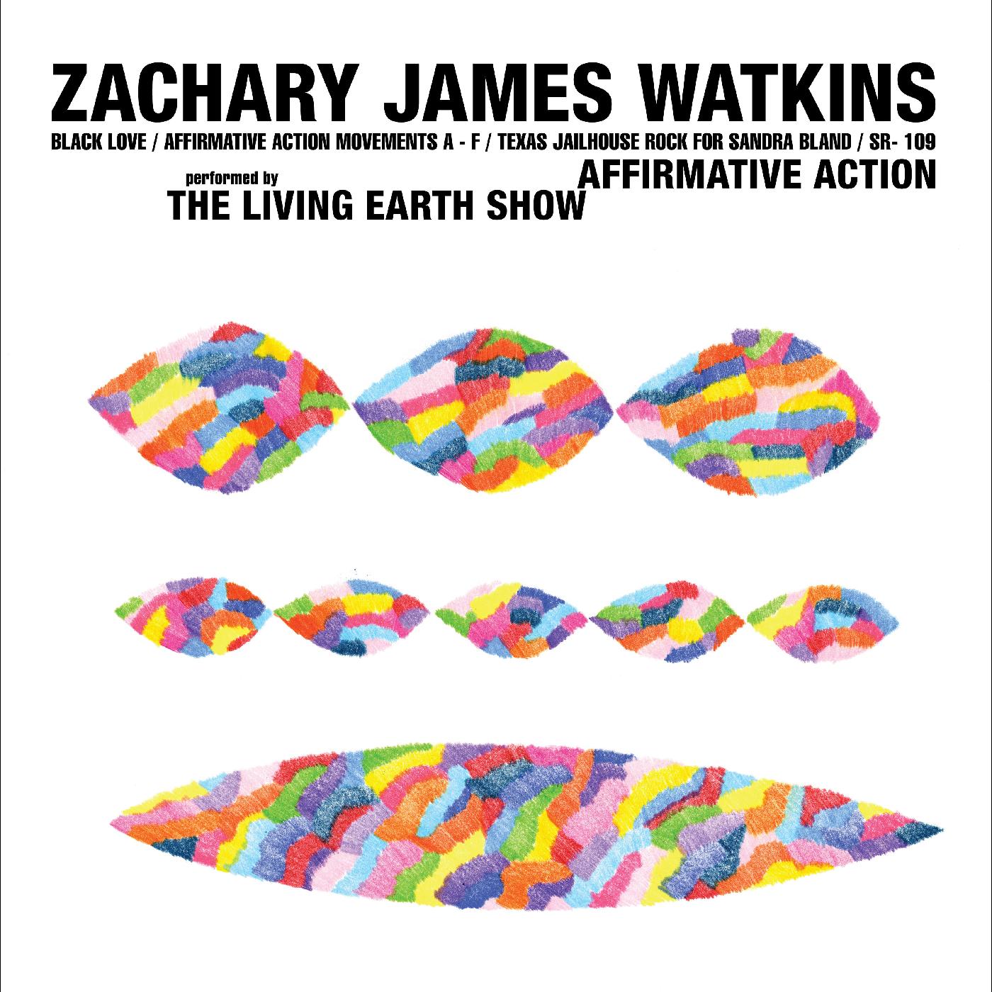 Zachary James Watkins - Affirmative Action Vinyl Record