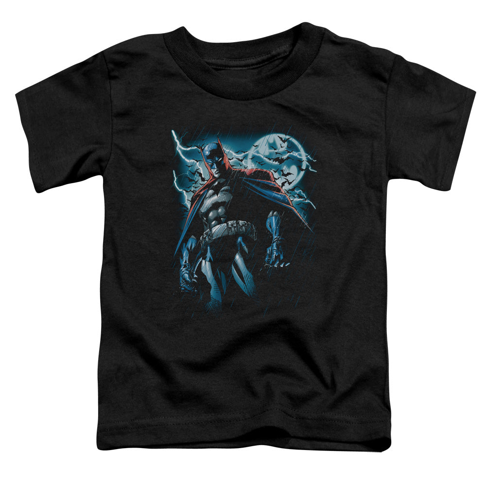 Batman Stormy Knight Toddler Kids Youth T Shirt Black