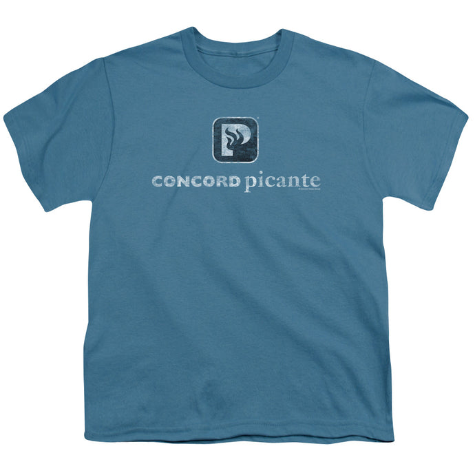 Picante Picante Vintage Kids Youth T Shirt Slate