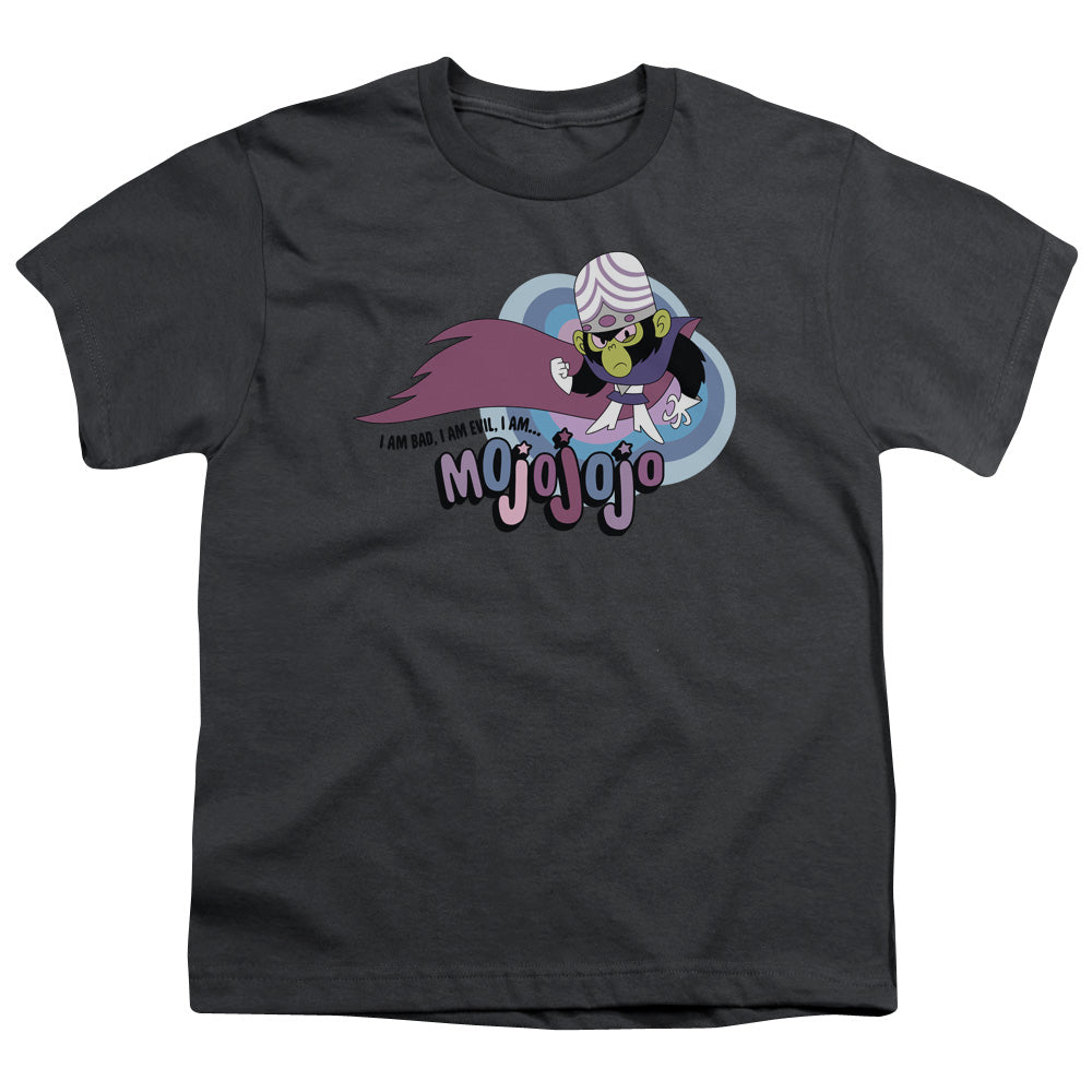 Powerpuff Girls I Am Bad I Am Evil Kids Youth T Shirt Charcoal