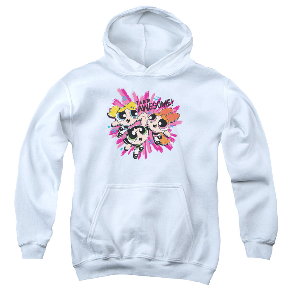 Powerpuff Girls Team Awesome Kids Youth Hoodie White