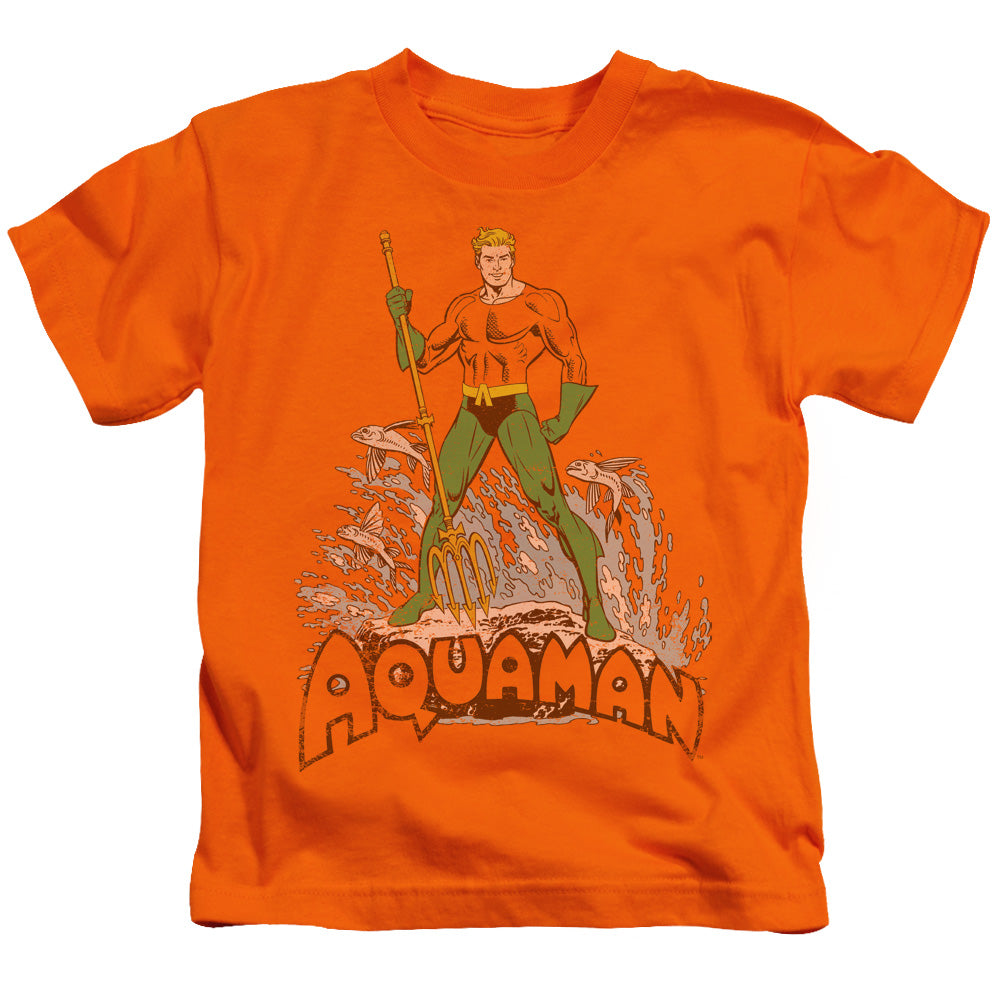 DC Comics Aquaman Distressed Juvenile Kids Youth T Shirt Orange