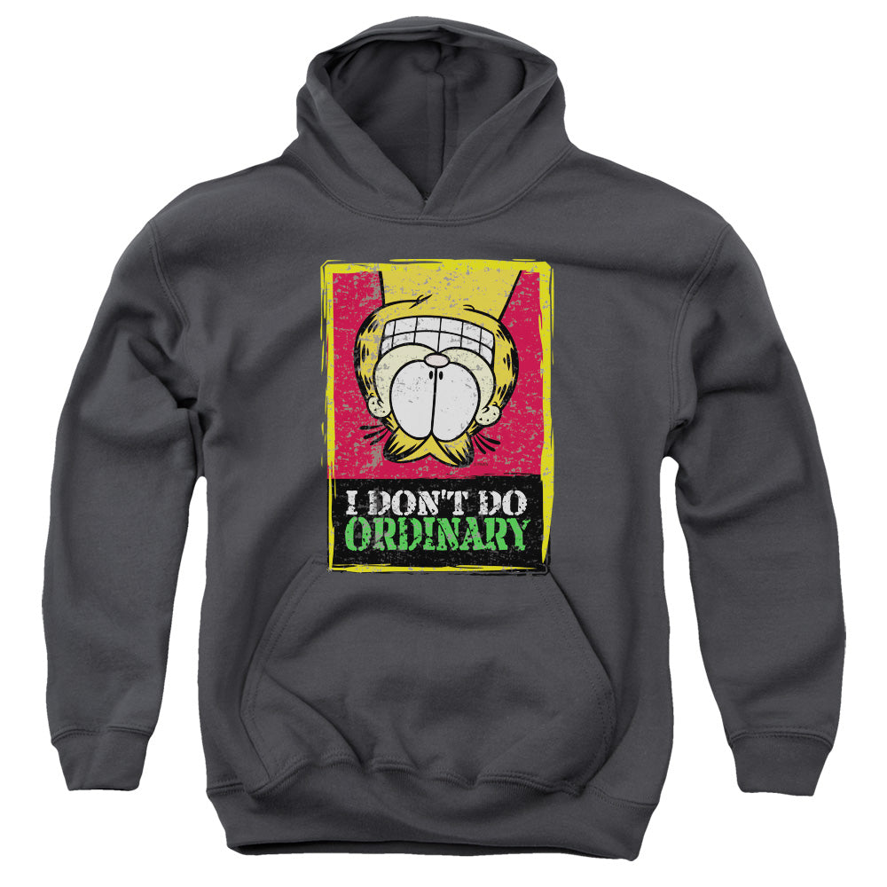 Garfield I Dont Do Ordinary Kids Youth Hoodie Charcoal