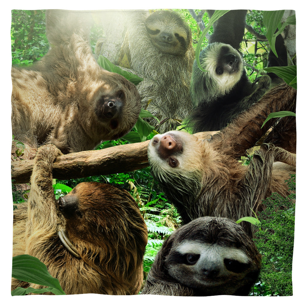 Sloth Club Wildlife Bandana Officially Licensed