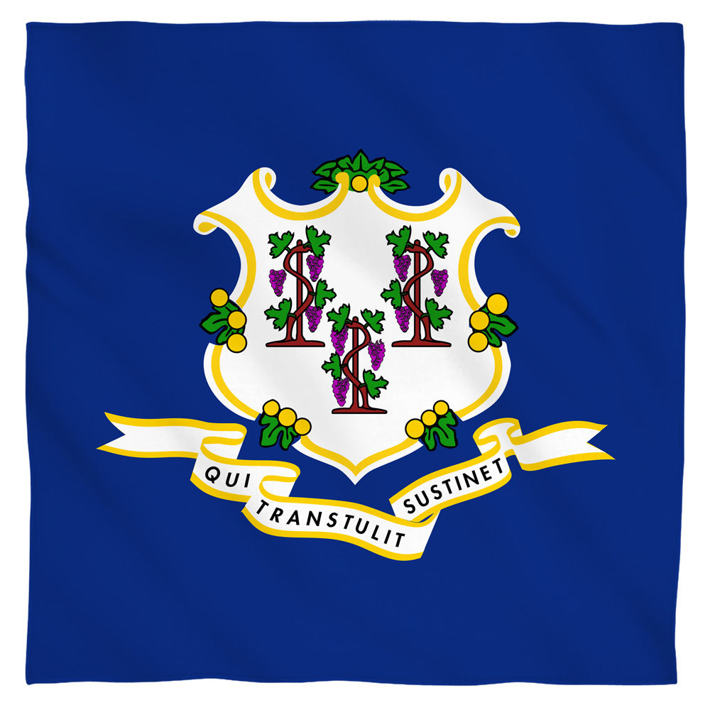 Connecticut Flag USA State Flag Bandana Officially Licensed