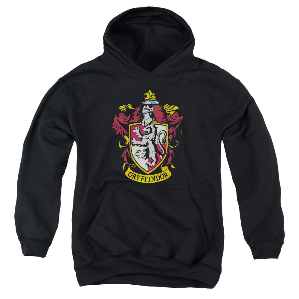 Harry Potter Gryffindor Crest Kids Youth Hoodie Black