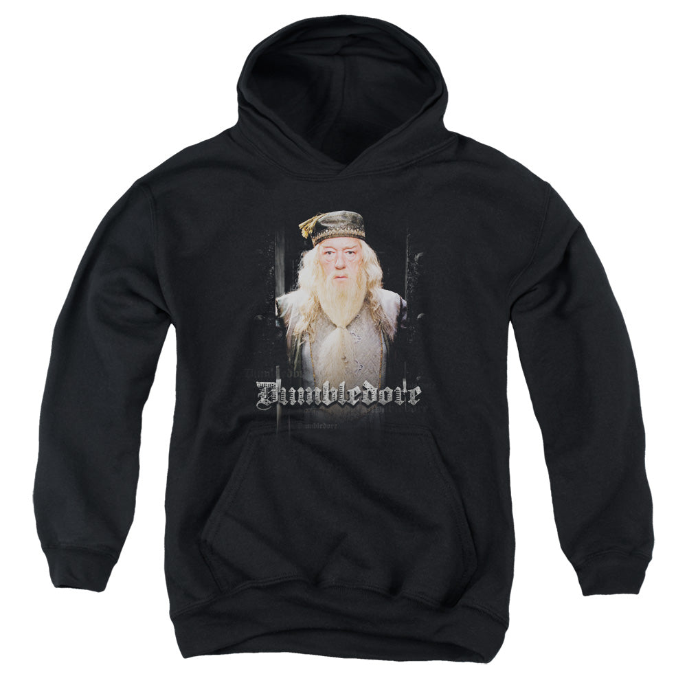 Harry Potter Dumble Doors Kids Youth Hoodie Black