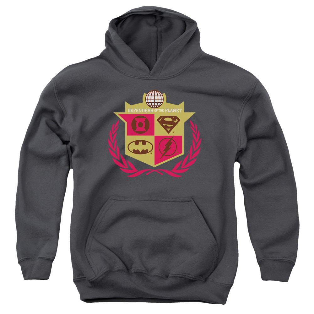 Justice League Defenders Kids Youth Hoodie Charcoal