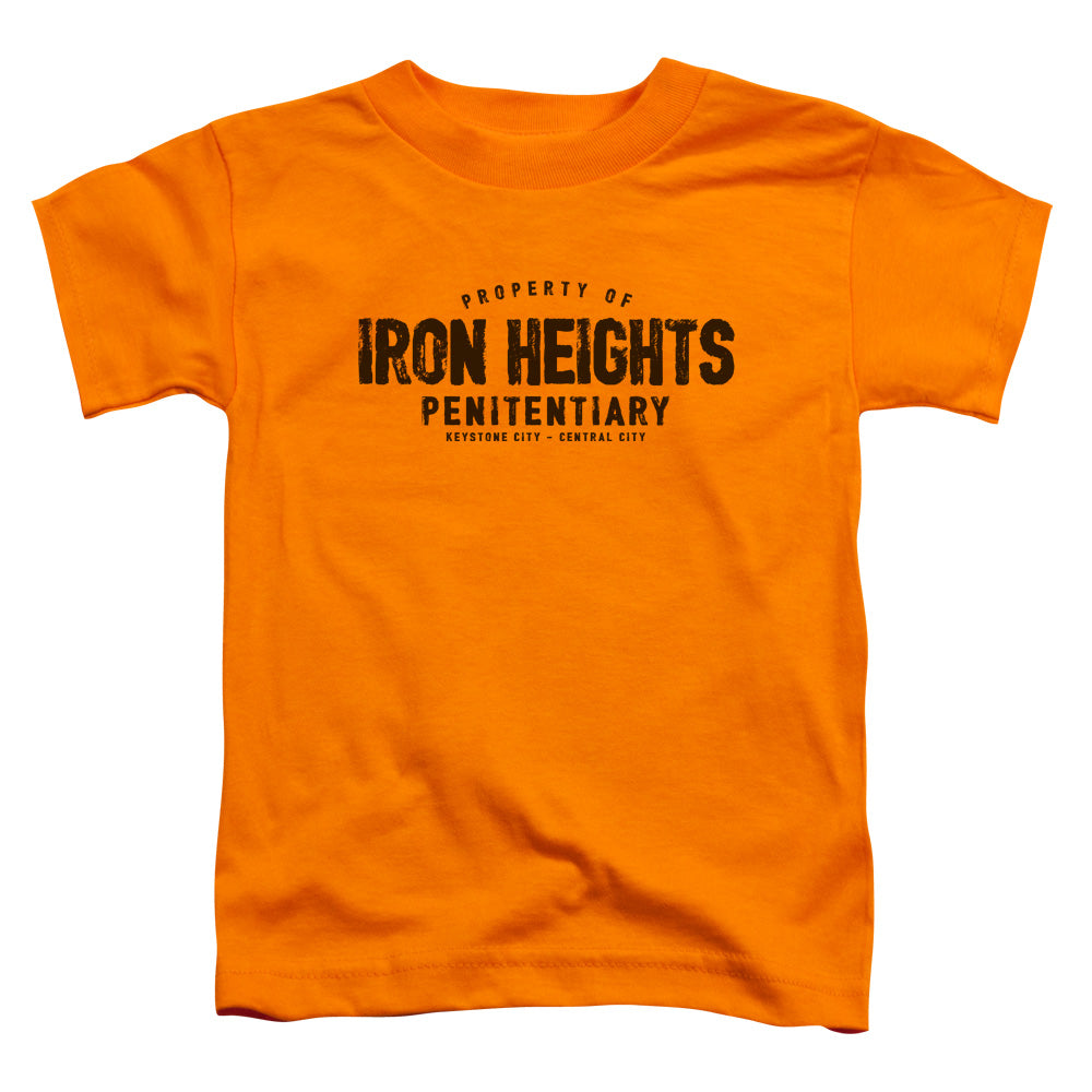 Justice League Iron Heights Toddler Kids Youth T Shirt Orange
