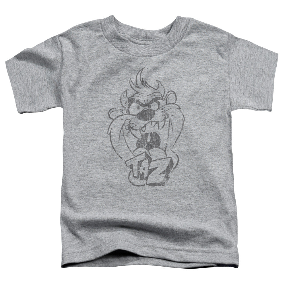 Looney Tunes Faded Taz Toddler Kids Youth T Shirt Athletic Heather