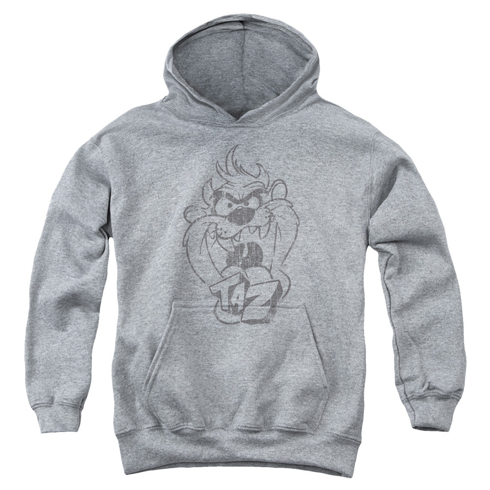 Looney Tunes Faded Taz Kids Youth Hoodie Athletic Heather