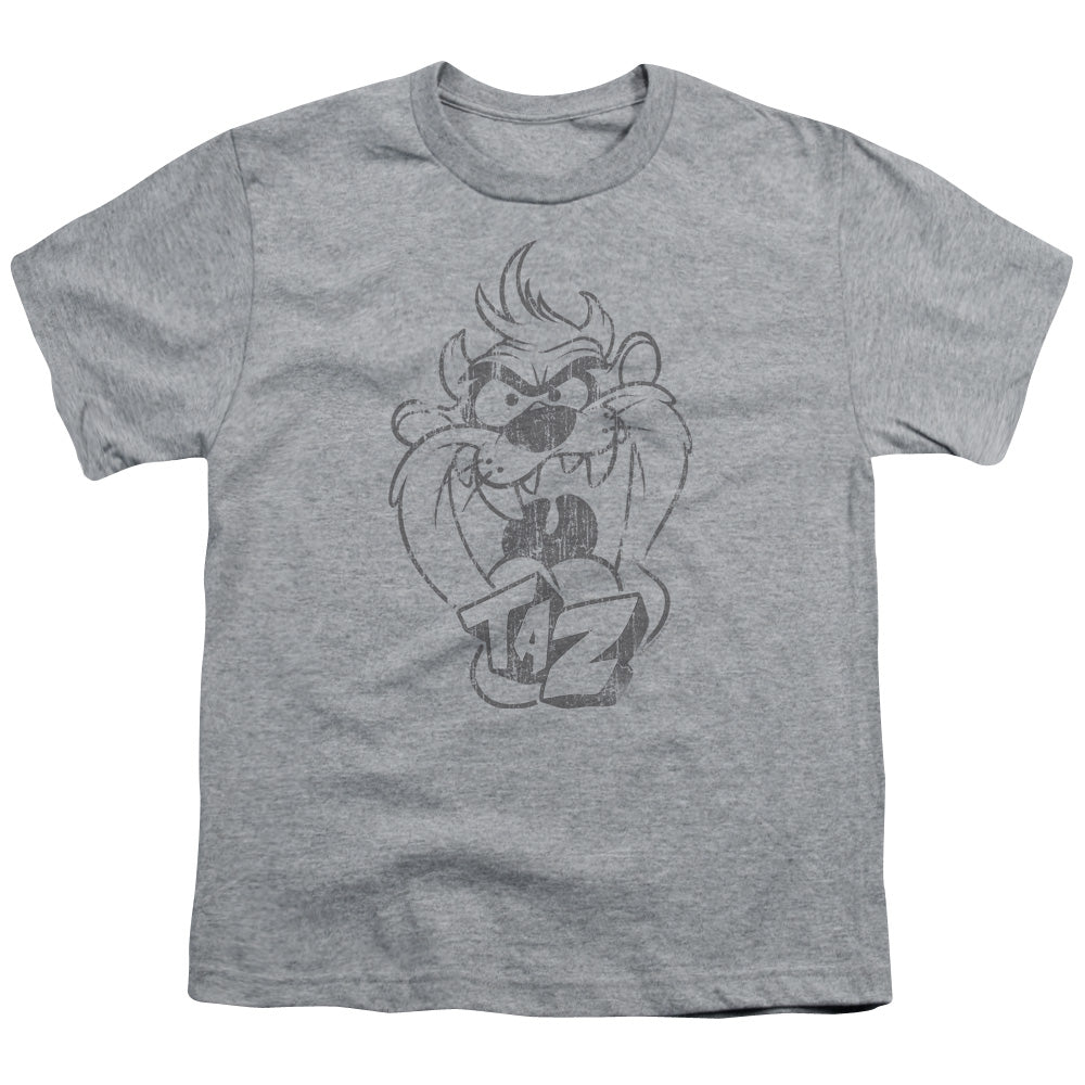 Looney Tunes Faded Taz Kids Youth T Shirt Athletic Heather