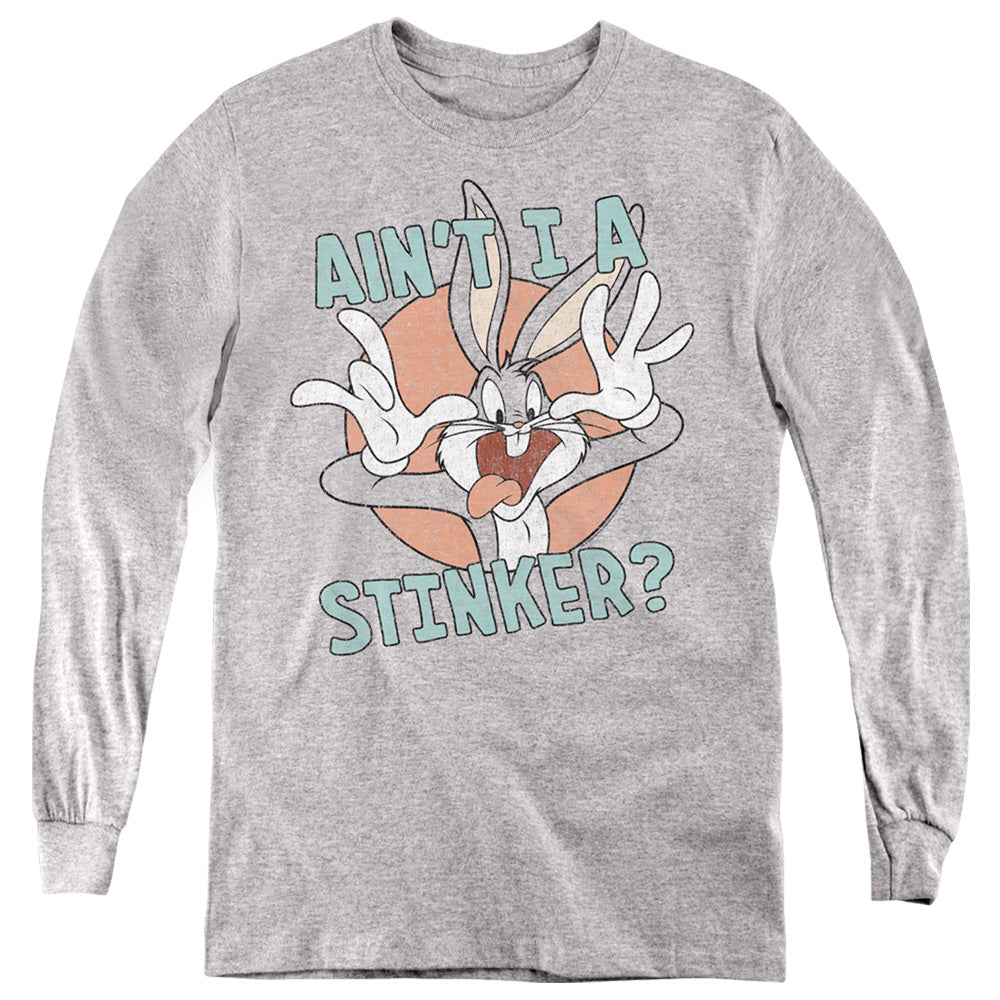 Looney Tunes Aint I a Stinker Long Sleeve Kids Youth T Shirt Athletic Heather