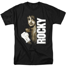 Load image into Gallery viewer, Rocky Painted Rocky Mens T Shirt Black