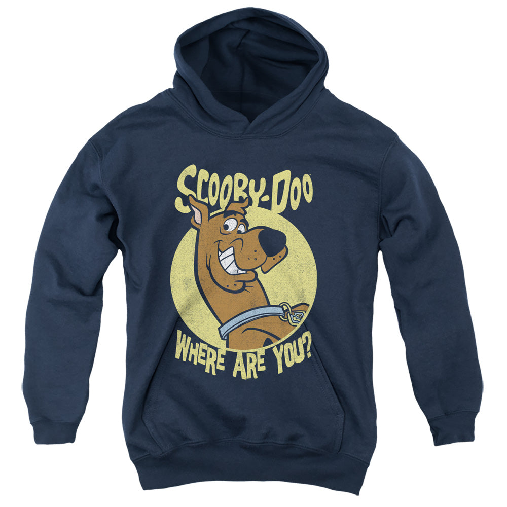 Scooby Doo Where Are You Kids Youth Hoodie Navy Blue