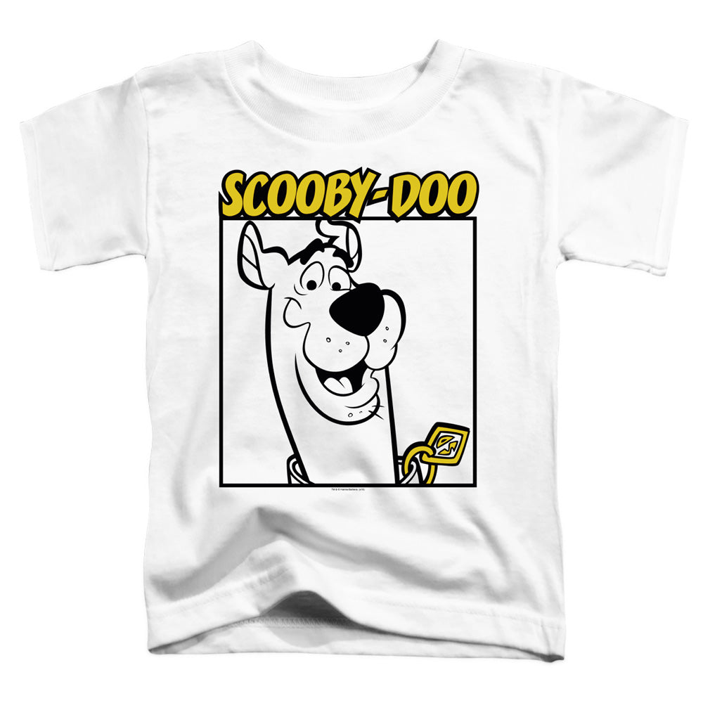 Scooby Doo Scooby Square Toddler Kids Youth T Shirt White