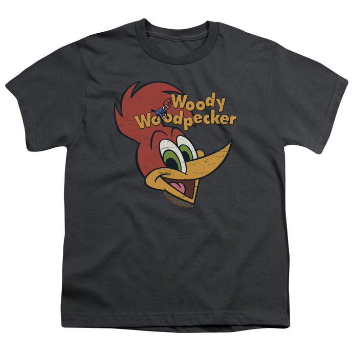 Woody Woodpecker Retro Logo Kids Youth T Shirt Charcoal