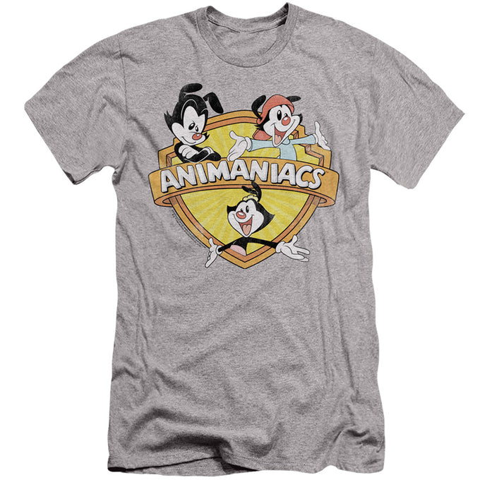 Animaniacs Shielded Animaniacs Slim Fit Mens T Shirt Athletic Heather