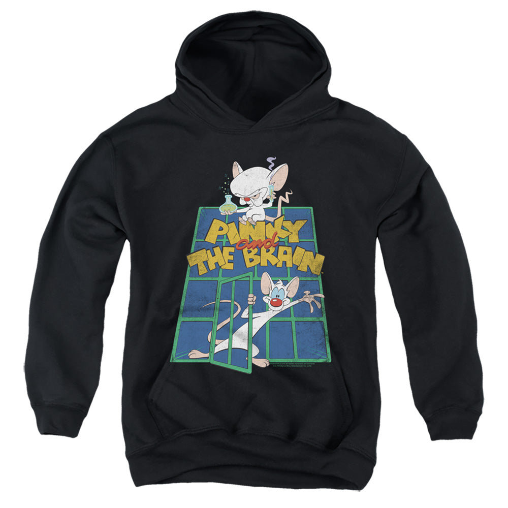 Pinky And The Brain Ol Standard Kids Youth Hoodie Black Officially Licensed