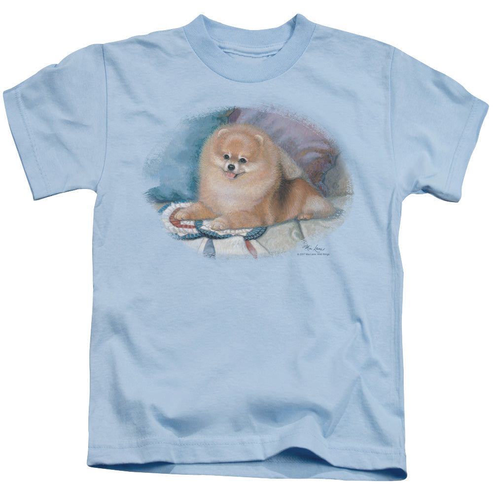 Wildlife Pomeranian Portrait Juvenile Kids Youth T Shirt Light Blue
