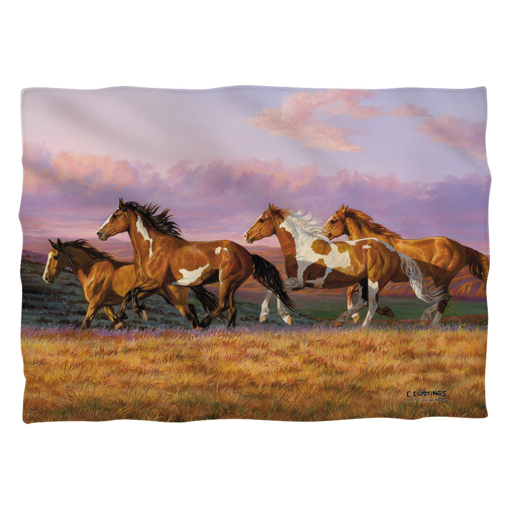Wild Wings Sunset Cruise 2 Pillow Case Officially Licensed