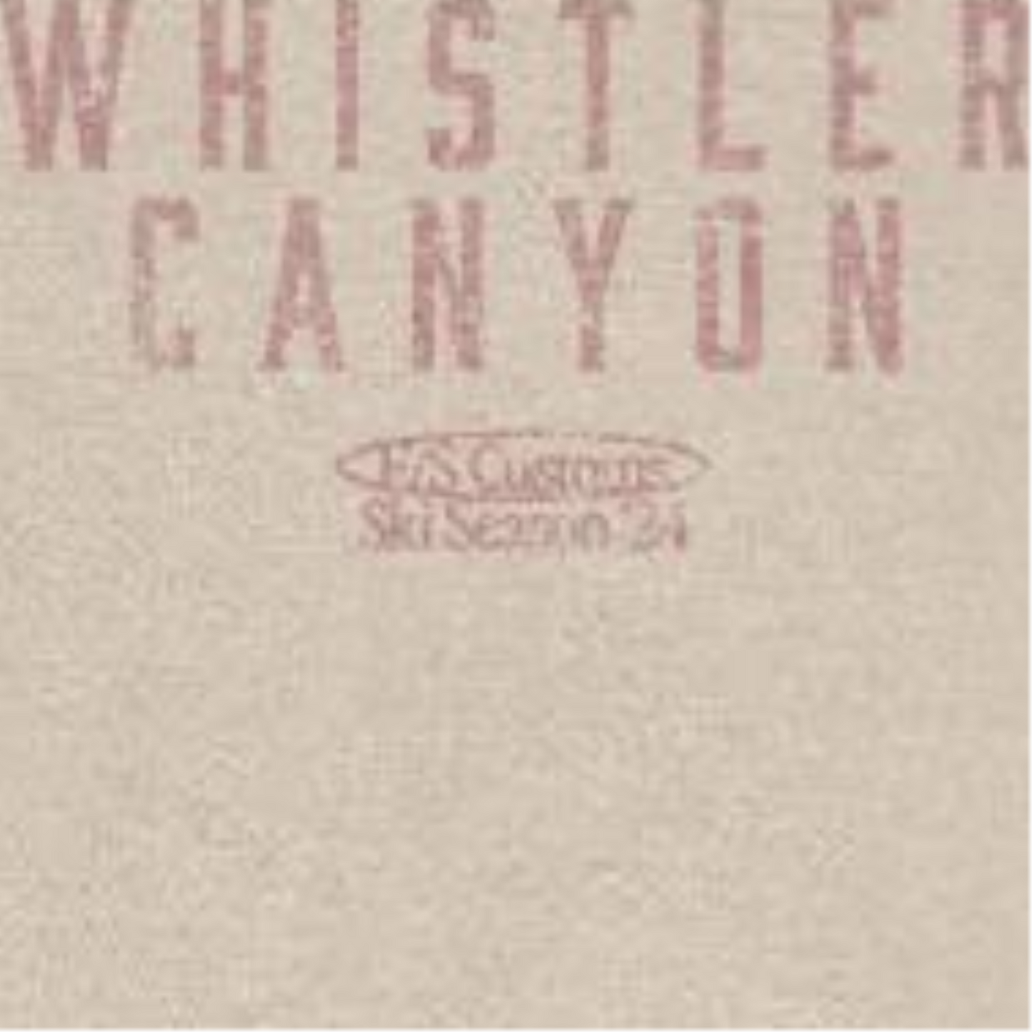 Snowboarding Whistler Light Front & Back Print T-Shirt Officially Licensed