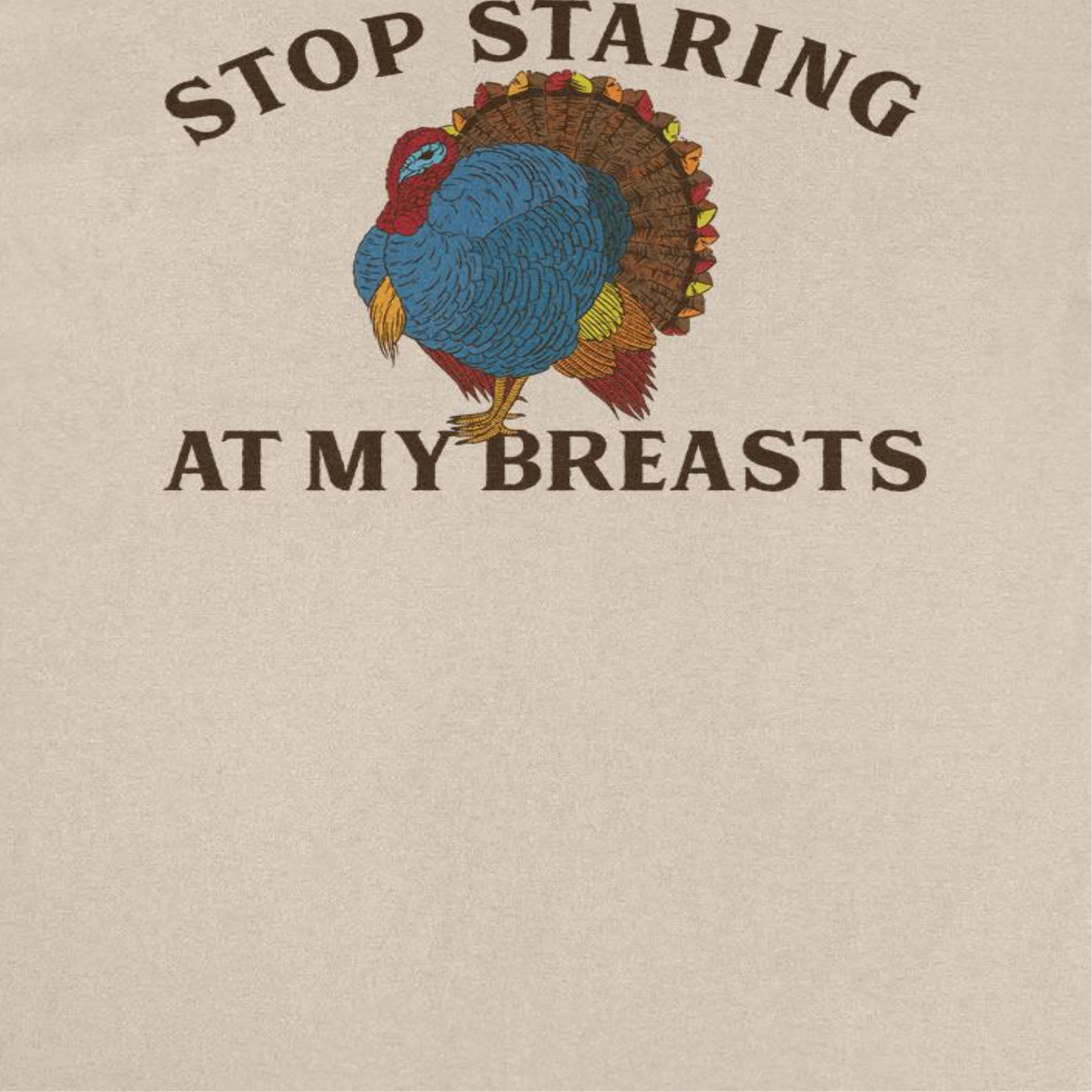 Thanksgiving T-Shirt - Stop Staring at my Breasts Officially Licensed