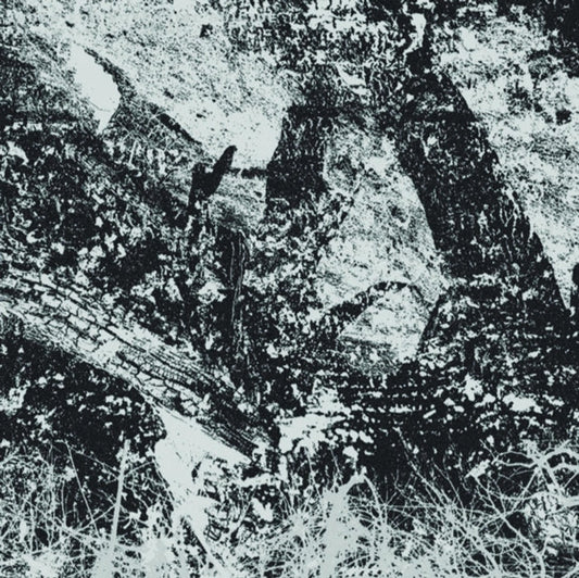 Index For Potential Suicide - Newest Youth Rebellion - LP Vinyl