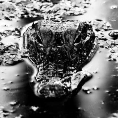 Many Blessings - Emanation Body - LP Vinyl Record