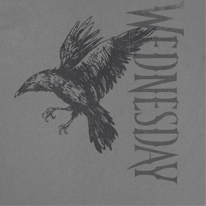 Wednesday Raven 2 T Shirt Charcoal Officially Licensed