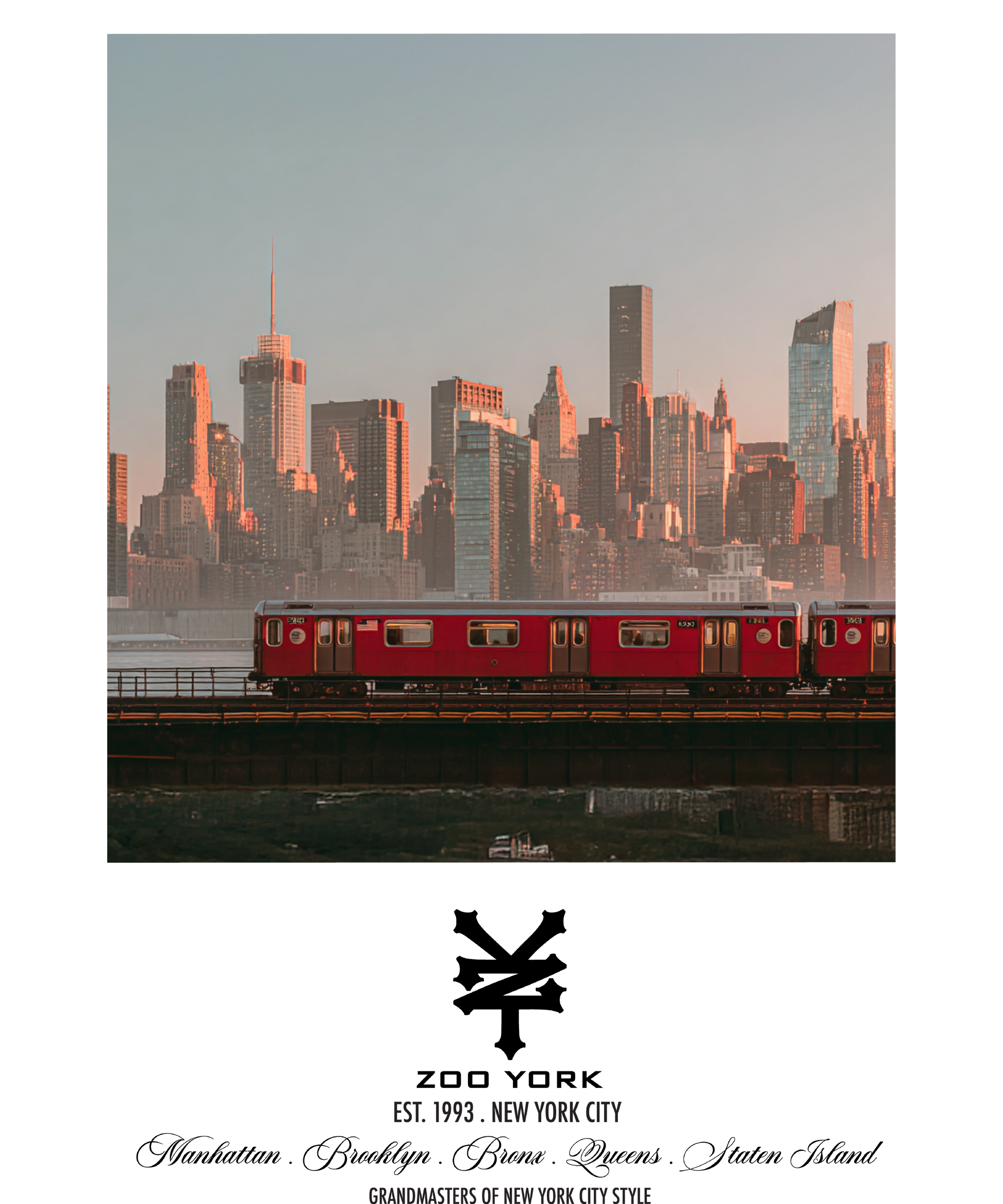 Zoo York Subway Skyline Nueva York Classic Panel Mens T Shirt Ash Grey Officially Licensed