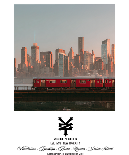 Zoo York Subway Skyline Nueva York Classic Panel Mens T Shirt Ash Grey Officially Licensed