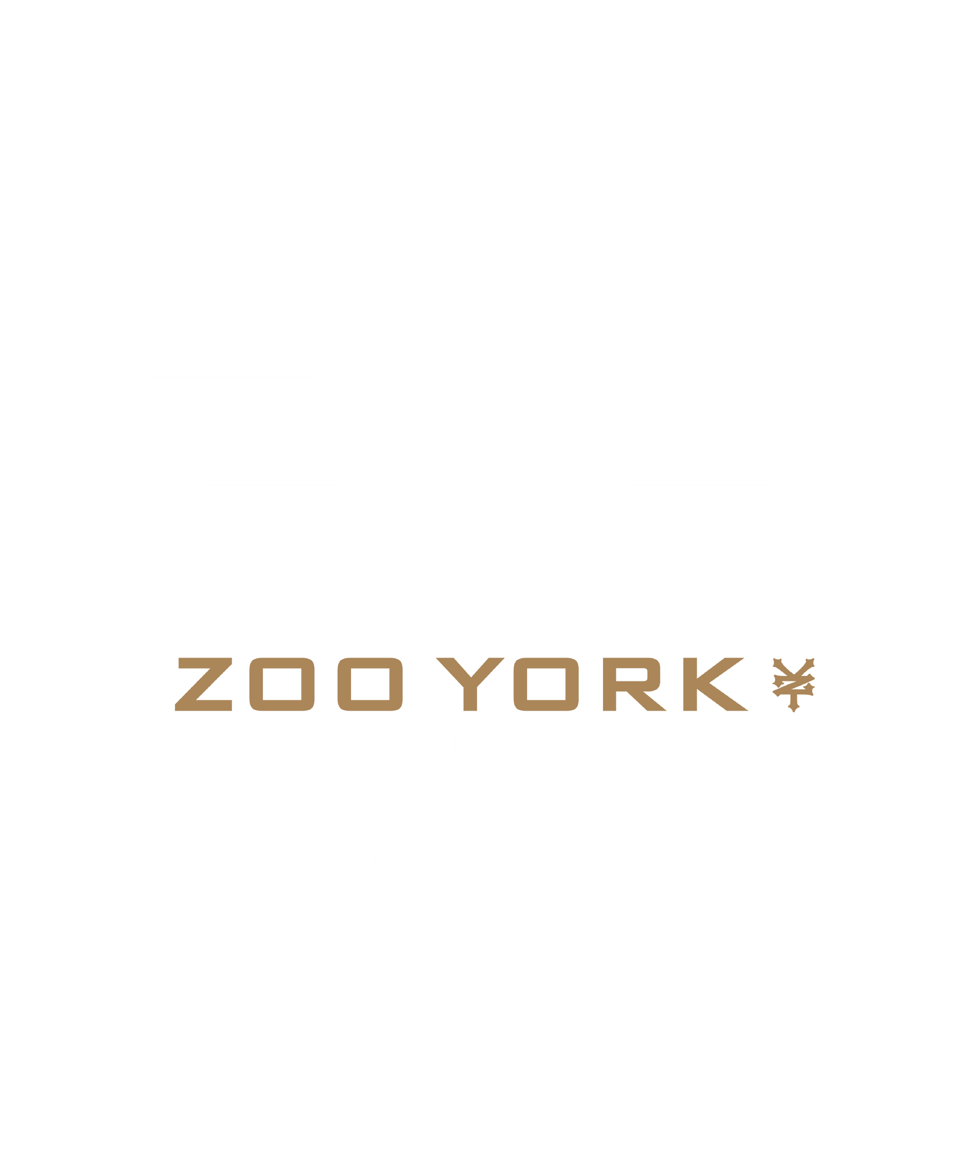 Zoo York 93 Athletic Style Nueva York Logo Mens T Shirt Black Officially Licensed