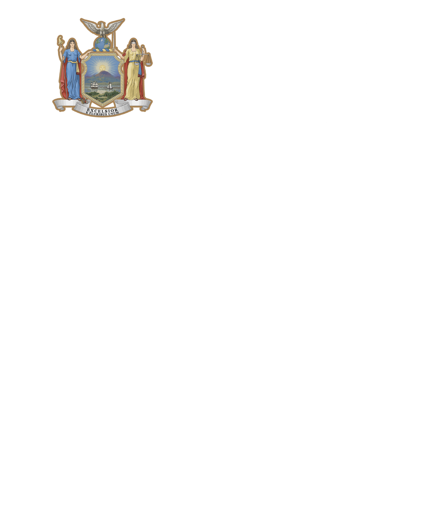 Zoo York Excelsior Classic Patch Logo Mens T Shirt Black Officially Licensed