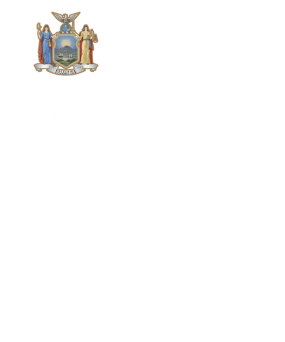Zoo York Excelsior Classic Patch Logo Mens T Shirt Black Officially Licensed