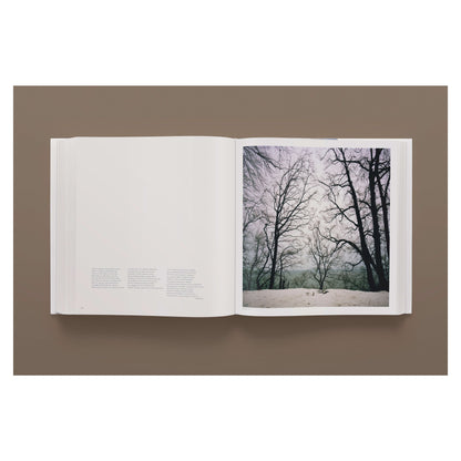 Darren Almond. Fullmoon (German, French, English) Book