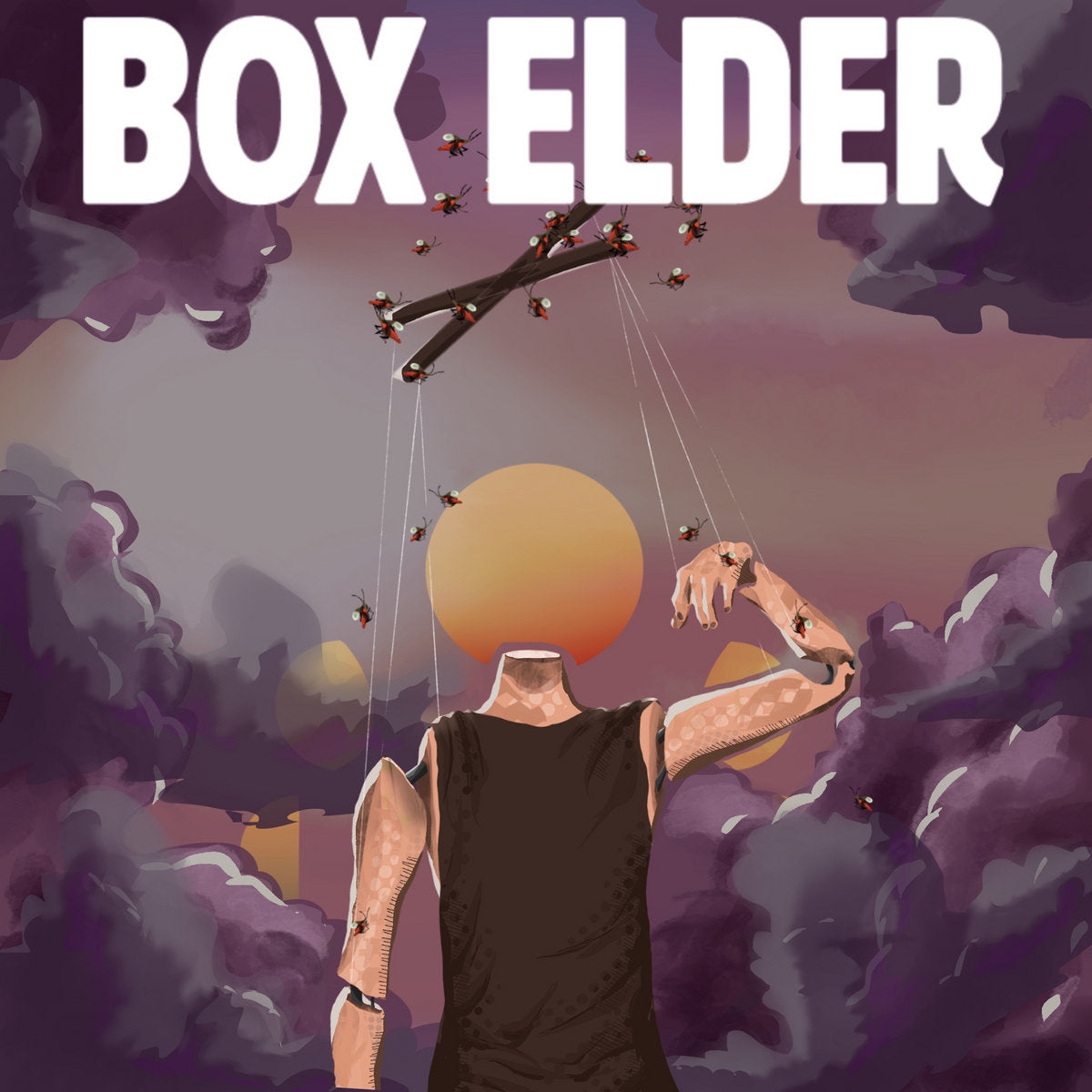 Box Elder [LP] Vinyl Record