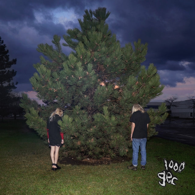 1000 Gecs Vinyl Record