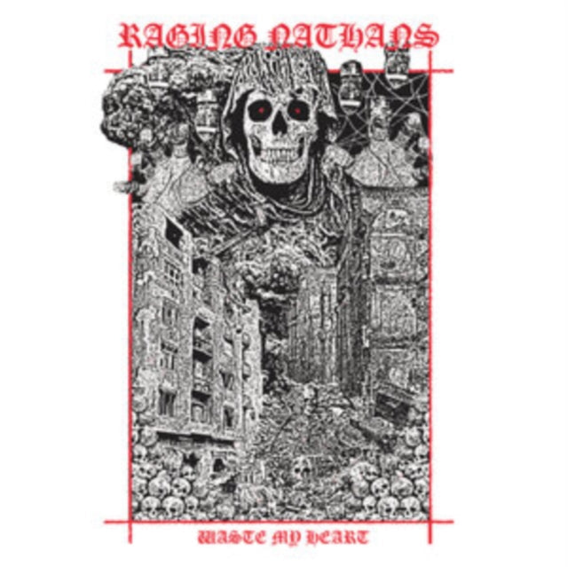 Raging Nathans - Waste My Heart - LP Vinyl Record