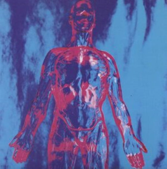 Nirvana - Sliver - 7 Inch Vinyl Record