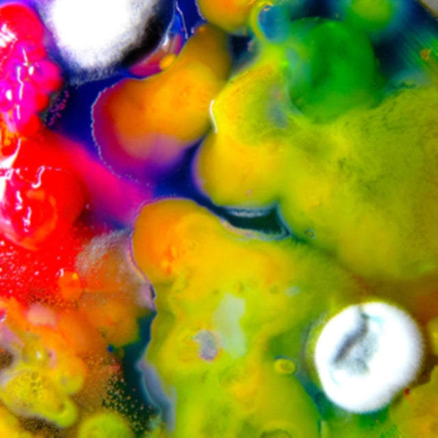 Guerilla Toss - Famously Alive Music CD